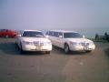 Kent Limos image 2