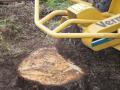 Leeds Tree Services image 5