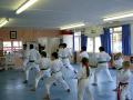 Shintai Karate image 1