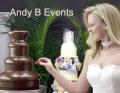 Andy B Events image 3