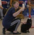 Brookwood Dog Training Club image 2