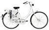 Popiel Bicycle Shop Online Dutch bike accessories Gazelle Axa-basta Basil image 7
