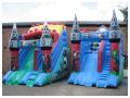 Allsorts Inflatables ltd image 6