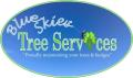 Blue Skies Tree Services - Tree surgeon Coventry and Warwickshire logo