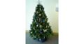 Green Team Interiors Ltd for decorated Christmas trees for offices image 5