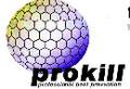 Pest Control Deeside - PROKILL image 1