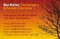 Ben Borley Tree Surgery & Forestry Services logo