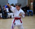 Herne & Whitstable Karate Clubs image 2