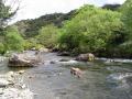 Arosfa - Quality self catering cottage, in Beddgelert, Snowdonia, Wales image 7