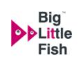 Big Little Fish Ltd logo