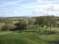 Newport Golf Club & Course image 1