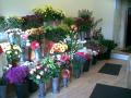 Blooming Brilliant Florist image 5