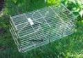 Pest Control Mole Catching Catcher Trapping Trapper Humane Live Service image 6