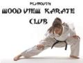 Plymouth Woodview Karate Club image 2