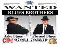 blues brothers tribute uk image 3