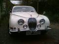 60's Jaguar Cars image 1