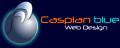 Caspian blue Ltd - Web Design Royston logo