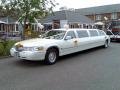 Pretty in Pink Limousines image 9