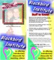 Blackbird Institute image 4