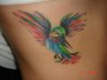 Bluebird Tattoo Studio image 2