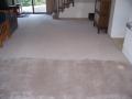 Go Spotless Carpet Cleaning image 1