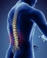 Alpha Chiropractic Clinic - Chiropractors - Guildford image 1