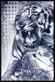 Blueprint Tiger image 1