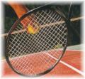 Zoe Jeffery Tennis Coach & Lessons Harrogate logo