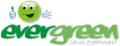 Evergreen Lawn Treatment Preston logo