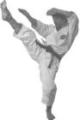 Kihonkai Karate Academy image 1