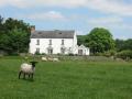 The Old Rectory Bed & Breakfast logo