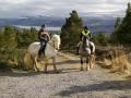 Highland Wild Rides Ltd - Horse Riding and Trekking Centre image 2