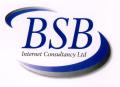 WSI- BSB Internet Consultancy Ltd logo