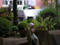 Katharine Doyle (BA Hons BLA) Garden and Landscape Design image 7