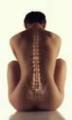 Palmers Green Osteopaths image 10