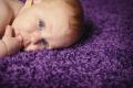 Orchid Carpet Cleaning image 1