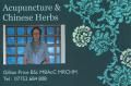 Gillian Price Acupuncture, Chinese Herbs N4, N1, N16 logo