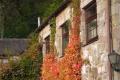 Barnwood Holiday Cottage image 3