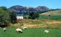 Braleckan Self Catering Holiday Cottages image 1
