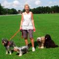 Woof Walk and Play image 1