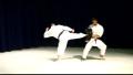 Biggleswade Zanshin Shotokan Karate Club image 1