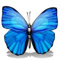 Butterfly Kids Club logo