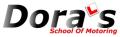 Dora's Driving School image 1