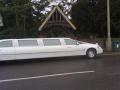 Cloud 9 Limousines image 3