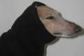 Jans Greyhound and Lurcher Gifts image 5