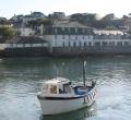 Fish and Trips of St Mawes image 3