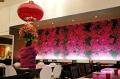 Ning | Malaysian Restaurant image 1