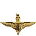 Military Insignia image 2