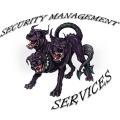 Security Management Services image 4