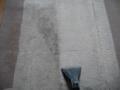Just Perfect Carpet Cleaning image 6